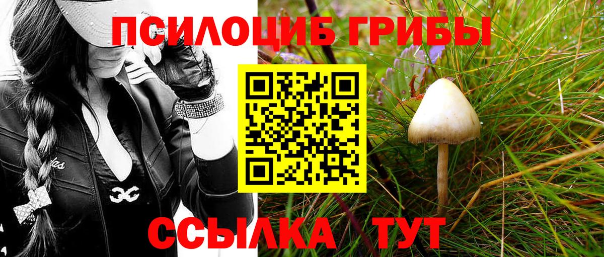 Галлюциногенные грибы MAGIC MUSHROOMS  Вход с VPN  Тихвин 